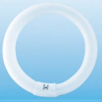 PHILIPS 55968515  FLUOR.TLE CIRCULAR 32W-840 55968515