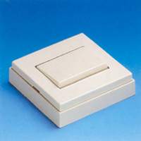 FAMATEL 5001 INT.SUPERF.10A-250V MARFIL